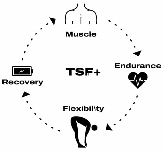 TSF System Design